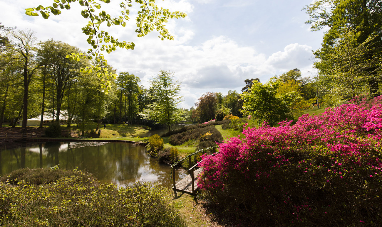Gardens-5